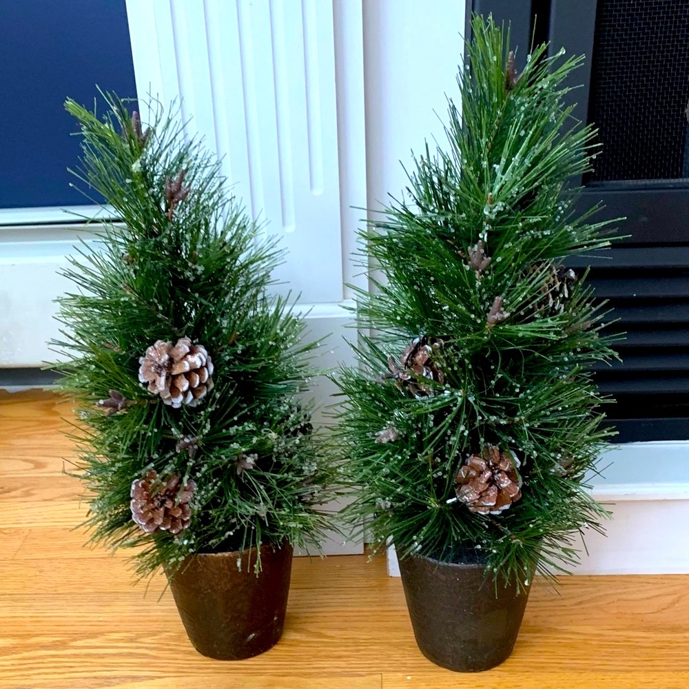 Pottery Barn Mini Potted wintertime Christmas Tree Winter decor Faux Plant Set